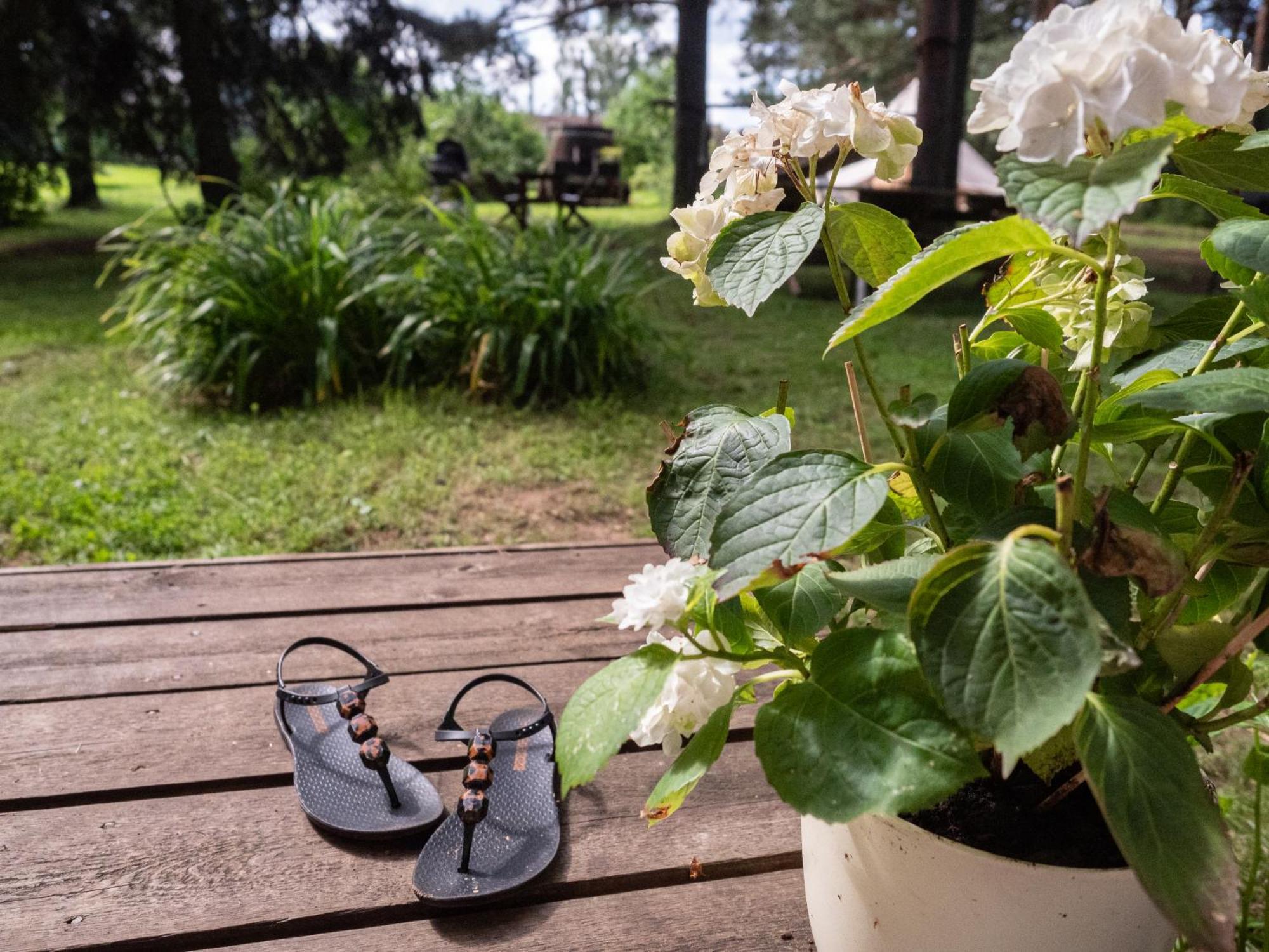 Mereaeaere Glamping Ja Rannamaja Liimala Esterno foto