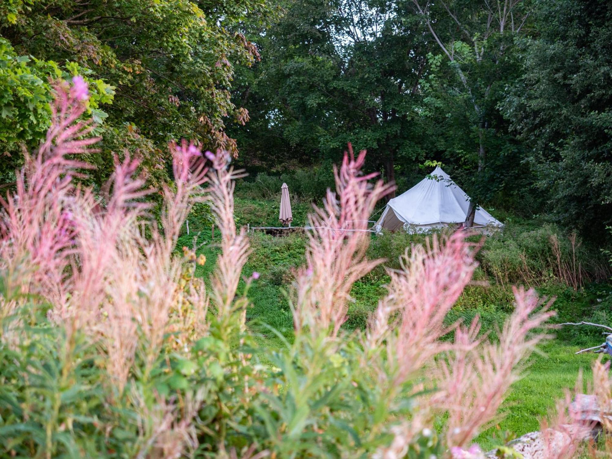 Mereaeaere Glamping Ja Rannamaja Liimala Esterno foto