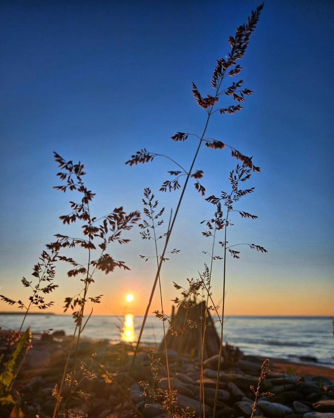 Mereaeaere Glamping Ja Rannamaja Liimala Esterno foto
