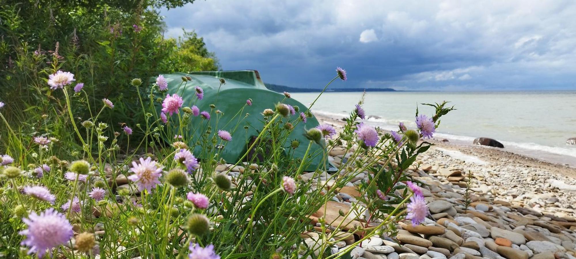 Mereaeaere Glamping Ja Rannamaja Liimala Esterno foto