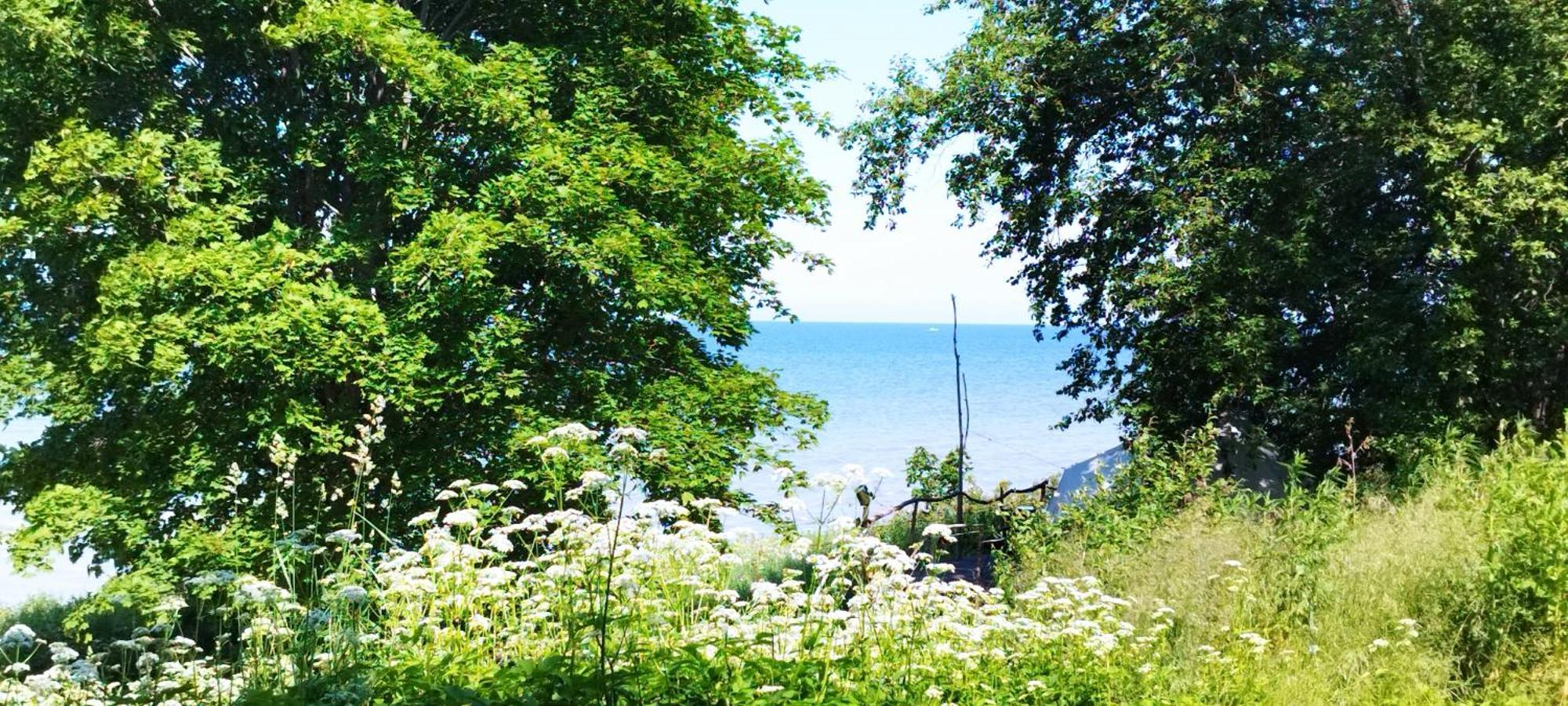 Mereaeaere Glamping Ja Rannamaja Liimala Esterno foto